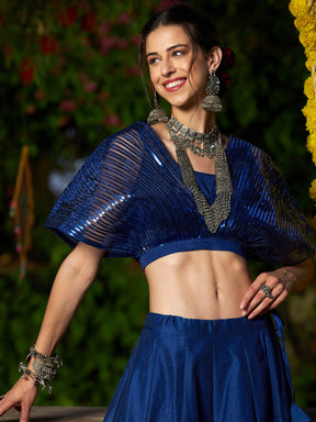 Blue Mesh Mettalic Detail Top with Chanderi Skirt-Shae by SASSAFRAS